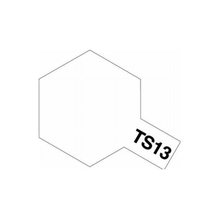 TAM Spray TS-13 klar