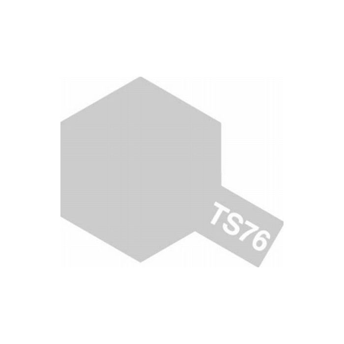 TAM Spray TS-76 Mica Silver