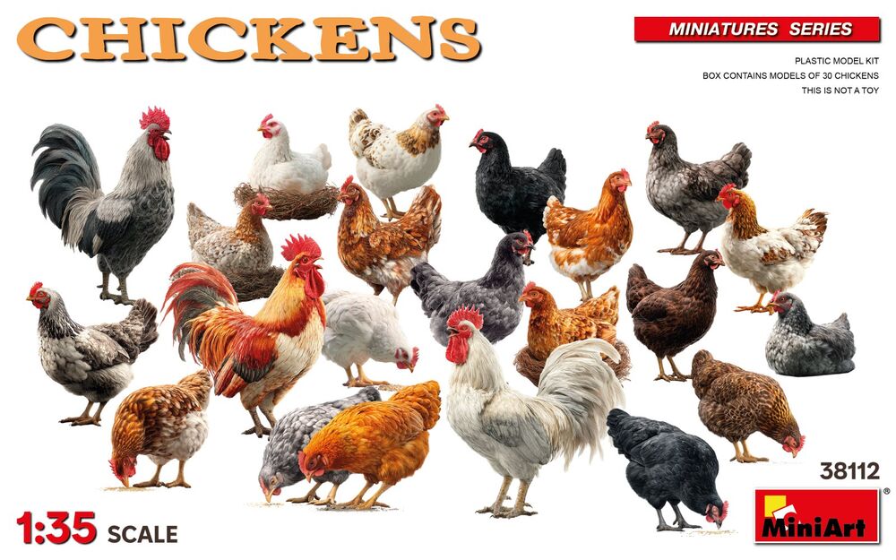 1/35 Chicken