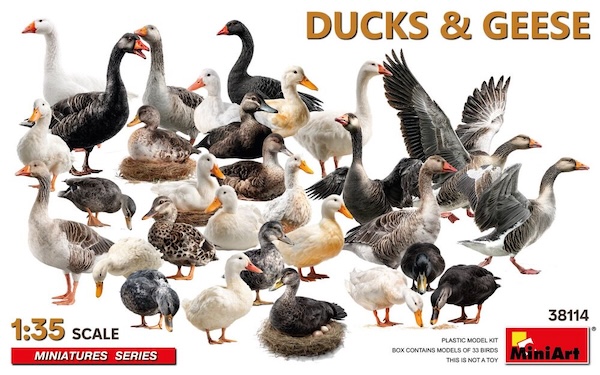 1/35 Ducks &amp; Geese