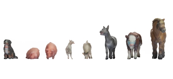 Z Tiere auf dem Bauernhof 3D Druck