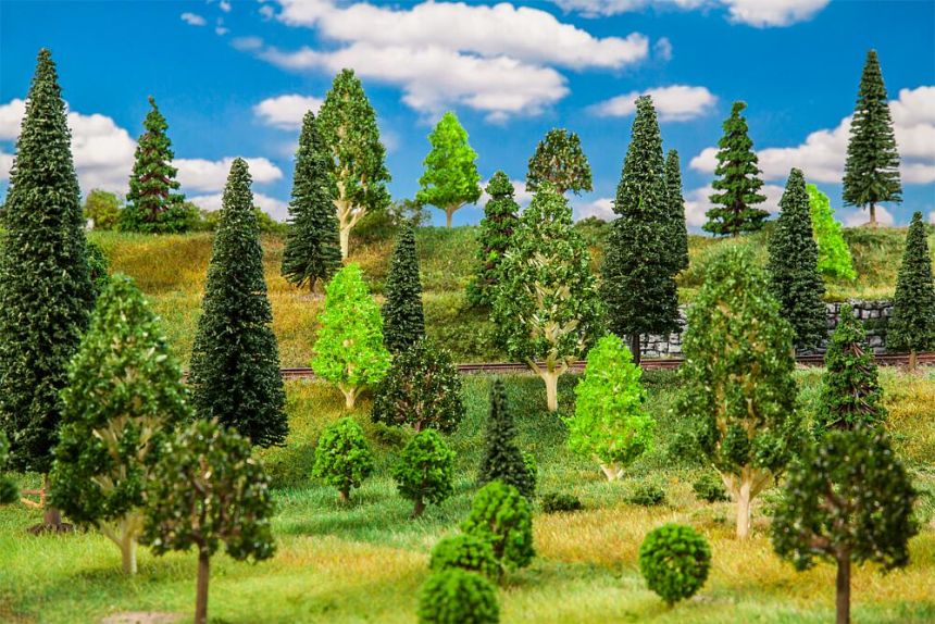 H0 50 Mischwaldbäume, sortiert