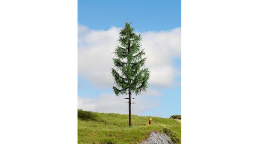 Hochstamm Fichte 23cm hoch