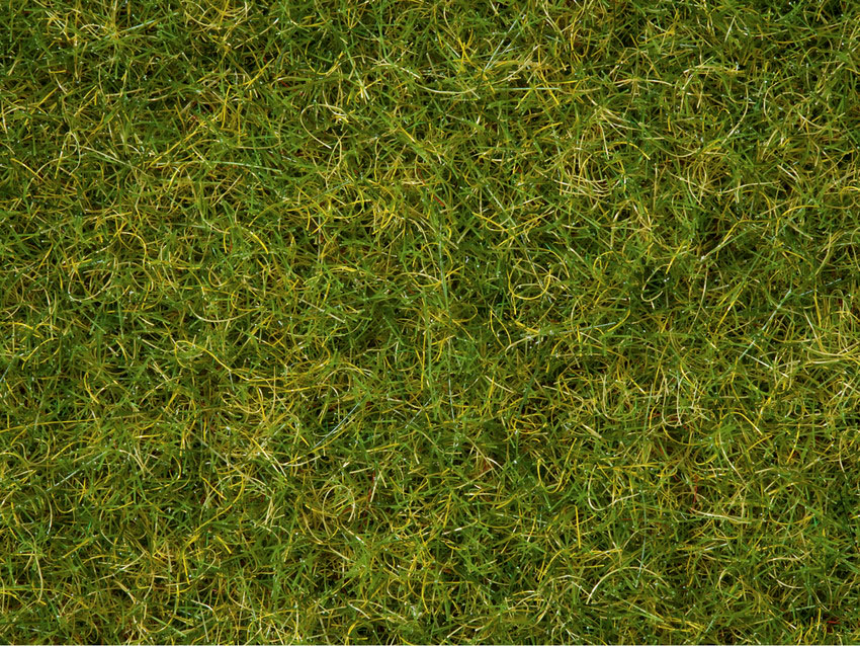 0,H0,N Grasmischung Sommerwiese 100g Dose