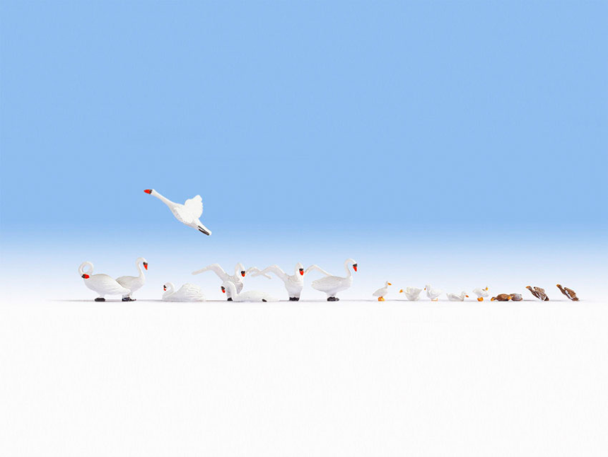 H0 Schwäne und Enten