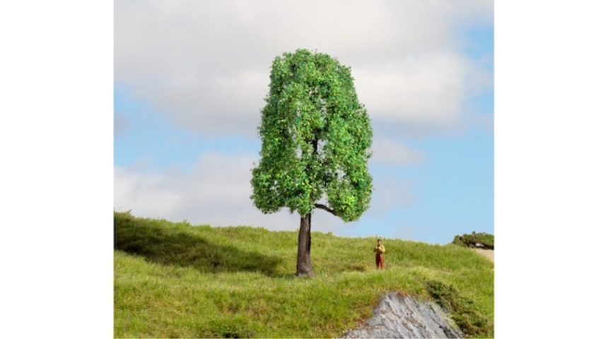 Baum Esche 13cm hoch