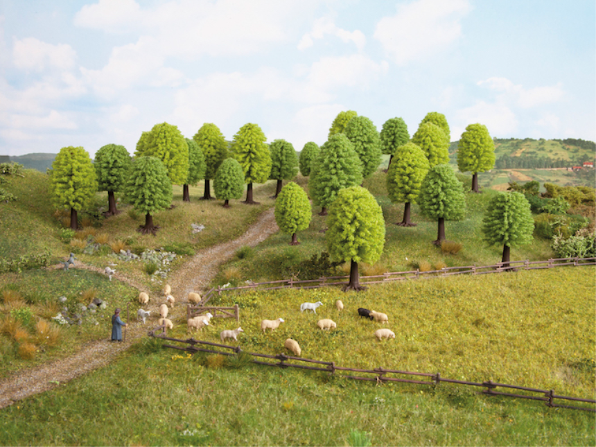 N,Z 25 Laubb&amp;#228;ume 3,5 - 5 cm