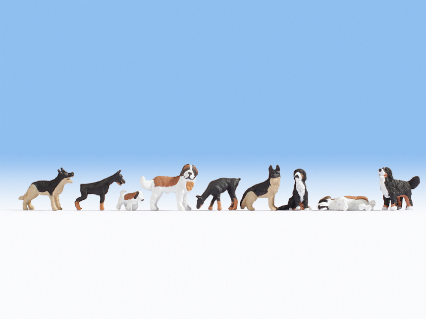 N Hunde