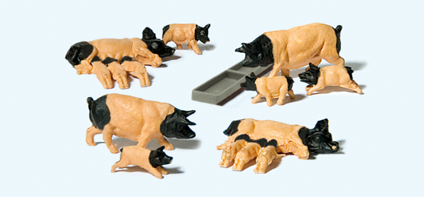 1:87  Schwäbisch Hällische Schweine