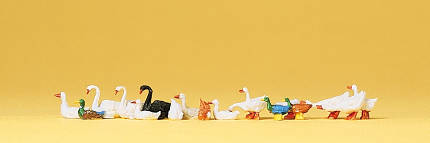 1:87  Enten, Gänse und Schwäne