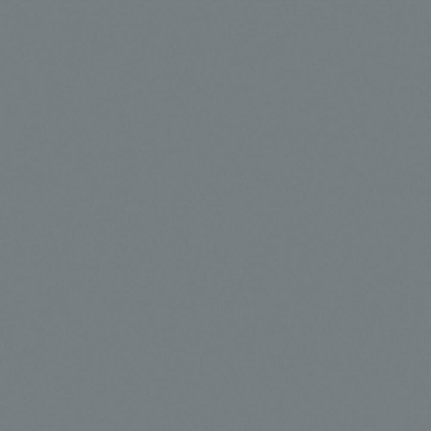 Dunkles M&amp;#246;wengrau, 17 ml