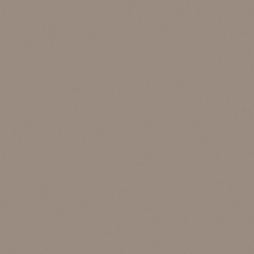 Helles Gräulich-Braun, AMT-1,