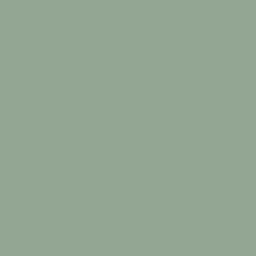 Helles Graugr&amp;#252;n, IJA, 17 ml