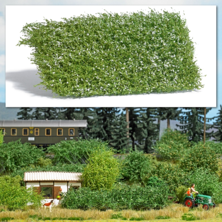 Sträucher weiss blühend