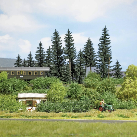 Sträucher Frühling