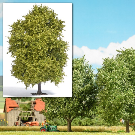 H0 Buche 125mm, Frühling