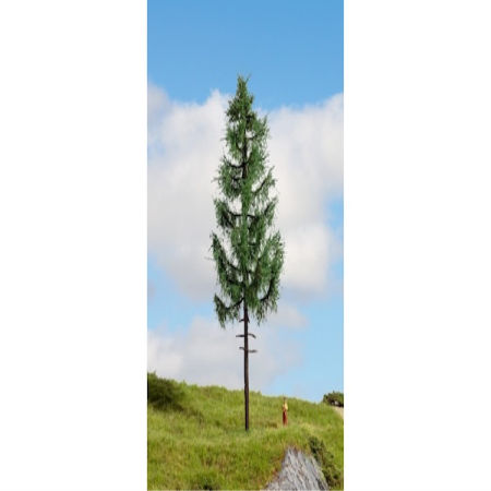 Hochstamm Fichte 23cm hoch