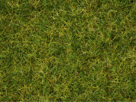 0,H0,N Grasmischung Sommerwiese 100g Dose