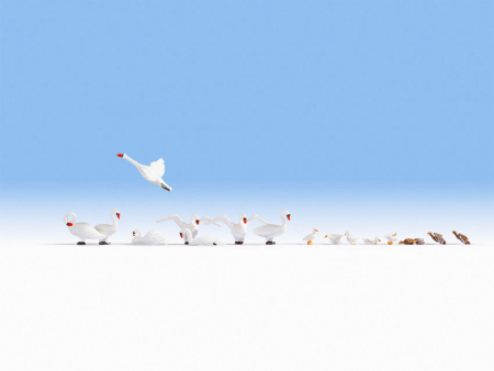 H0 Schwäne und Enten