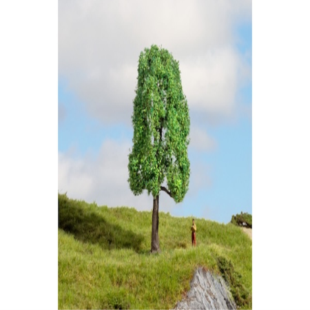 Baum Esche 13cm hoch