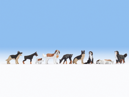 N Hunde