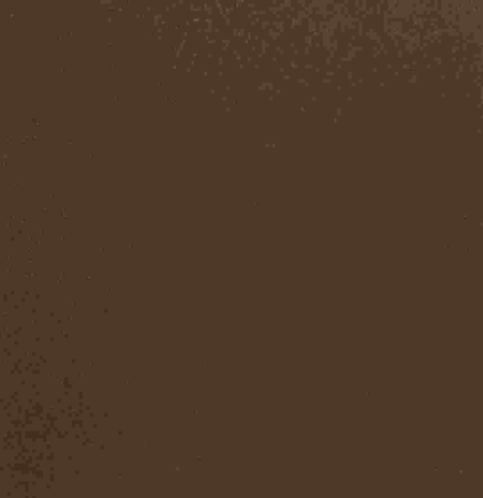 0 Acrylspray matt, braun