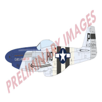 1/72 P-51D Mustang Aces of Eight Dual Combo