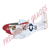 1/72 P-51D Mustang Aces of Eight Dual Combo