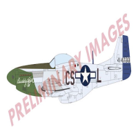 1/72 P-51D Mustang Aces of Eight Dual Combo