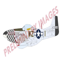 1/72 P-51D Mustang Aces of Eight Dual Combo