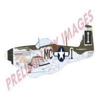 1/72 P-51D Mustang Aces of Eight Dual Combo