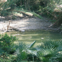 Stilles Wasser, 200 ml