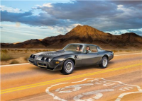 1/8 &amp;#39;79 Pontic Firebird Trans Am