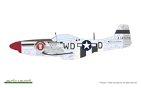1/48 Mighty Eight: 65th Fighter Wing