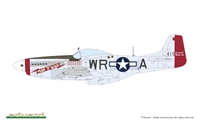 1/48 Mighty Eight: 65th Fighter Wing