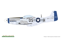 1/48 Mighty Eight: 65th Fighter Wing