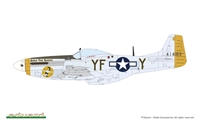 1/48 Mighty Eight: 65th Fighter Wing