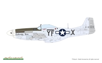 1/48 Mighty Eight: 65th Fighter Wing