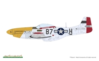 1/48 Mighty Eight: 65th Fighter Wing