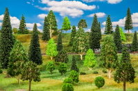 H0 50 Mischwaldbäume, sortiert