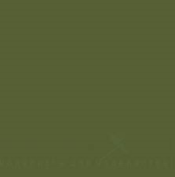 Mr. Color  (10 ml)Russian Green 4BO"  1947-"