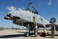 "1/48 A-10C ""Blacksnakes"""