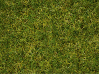 0,H0,N Grasmischung Sommerwiese 100g Dose