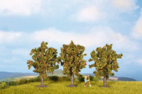 N,Z Apfelb&amp;#228;ume