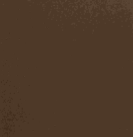 0 Acrylspray matt, braun