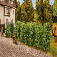 H0 N Thuja Hecke