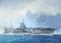 1/720 HMS Ark Royal &amp; Tribal Class Des