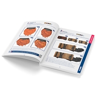 Buch Color BSL-System