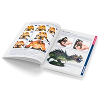 Buch Color BSL-System