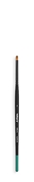 Scriber